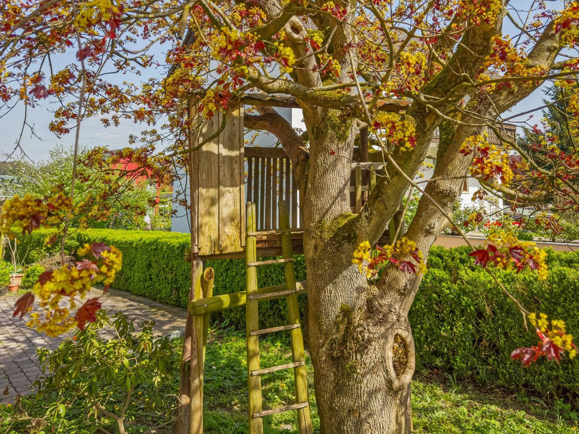 Obst- Ferienhof Ragg Immenstaad am Bodensee Eksteriør bilde
