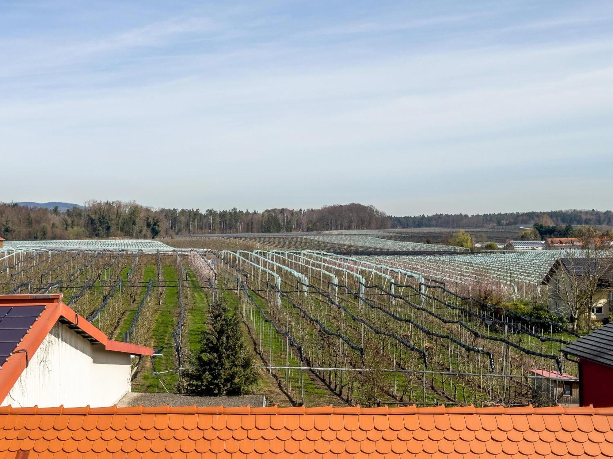 Obst- Ferienhof Ragg Immenstaad am Bodensee Eksteriør bilde